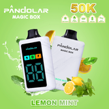 Pandolar Magic Box 50000 puffs - VAYYIP