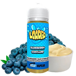 Loaded Blueberry Custard 3mg/120ml